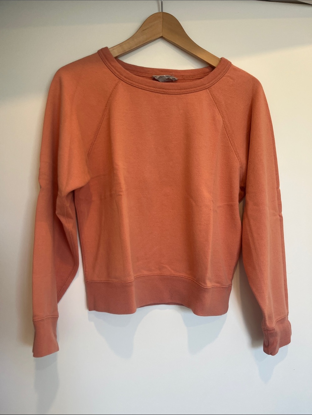 Everlane Coral Crewneck Sweatshirt